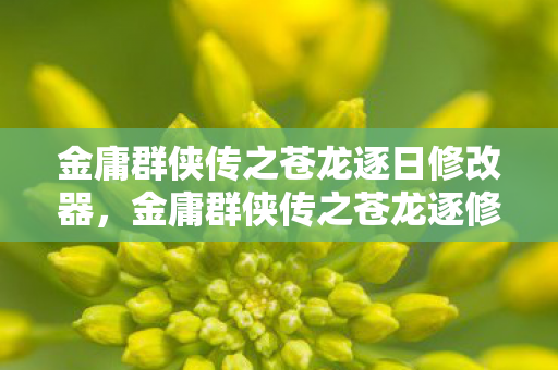 金庸群侠传之苍龙逐日修改器，金庸群侠传之苍龙逐修改器，解锁武侠世界的无限可能