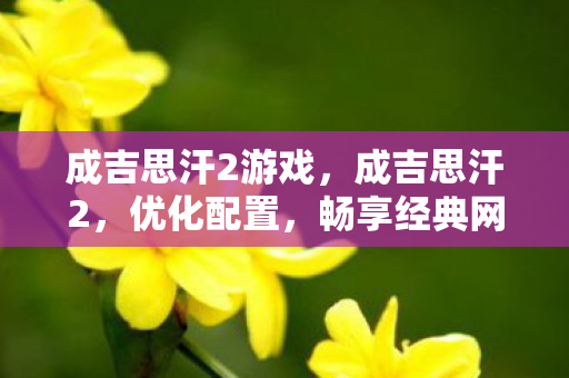 成吉思汗2游戏，成吉思汗2，优化配置，畅享经典网游