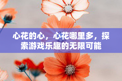 心花的心，心花哪里多，探索游戏乐趣的无限可能