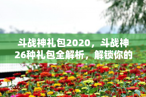 斗战神礼包2020，斗战神26种礼包全解析，解锁你的游戏之旅