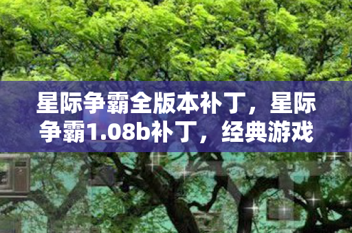 星际争霸全版本补丁,星际争霸1.08b补丁,经典游戏的时光机 星际争霸全版本补丁,星际争霸1.08b补丁,经典游戏的时光机