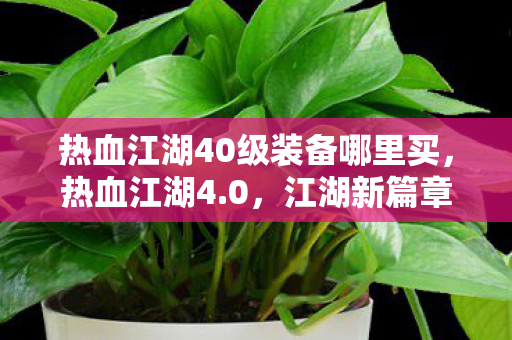 热血江湖40级装备哪里买,热血江湖4.0,江湖新篇章,侠义再续 热血江湖40级装备哪里买,热血江湖4.0,江湖新篇章,侠义再续