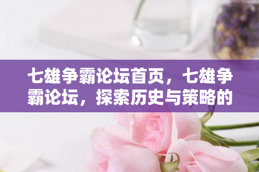 七雄争霸论坛首页，七雄争霸论坛，探索历史与策略的深度交汇