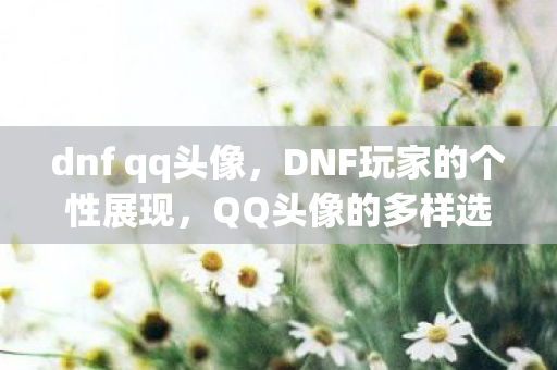 dnf qq头像，DNF玩家的个性展现，QQ头像的多样选择