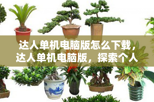 达人单机电脑版怎么下载,达人单机电脑版,探索个人娱乐与创作的无限可能 达人单机电脑版怎么下载,达人单机电脑版,探索个人娱乐与创作的无限可能