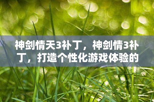 神剑情天3补丁,神剑情3补丁,打造个性化游戏体验的必备神器 神剑情天3补丁,神剑情3补丁,打造个性化游戏体验的必备神器