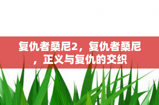 复仇者桑尼2,复仇者桑尼,正义与复仇的交织 复仇者桑尼2,复仇者桑尼,正义与复仇的交织
