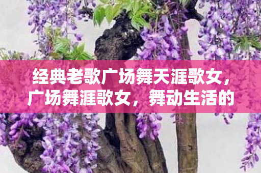 经典老歌广场舞天涯歌女,广场舞涯歌女,舞动生活的艺术,跨越年龄的舞台 经典老歌广场舞天涯歌女,广场舞涯歌女,舞动生活的艺术,跨越年龄的舞台