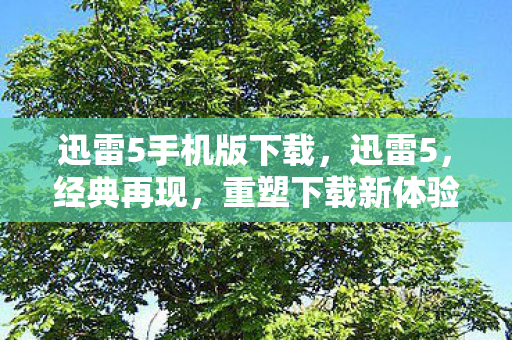 迅雷5手机版下载,迅雷5,经典再现,重塑下载新体验 迅雷5手机版下载,迅雷5,经典再现,重塑下载新体验