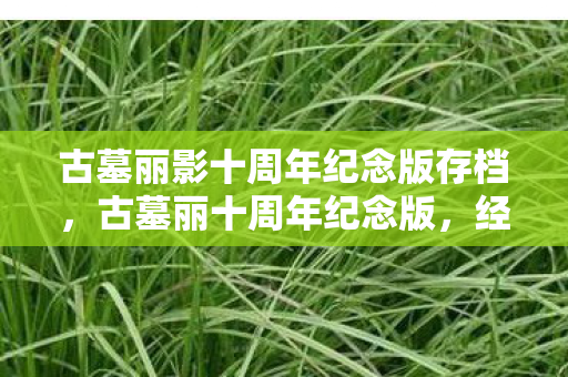 古墓丽影十周年纪念版存档,古墓丽十周年纪念版,经典再现,情怀依旧 古墓丽影十周年纪念版存档,古墓丽十周年纪念版,经典再现,情怀依旧