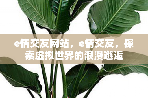 e情交友网站,e情交友,探索虚拟世界的浪漫邂逅 e情交友网站,e情交友,探索虚拟世界的浪漫邂逅
