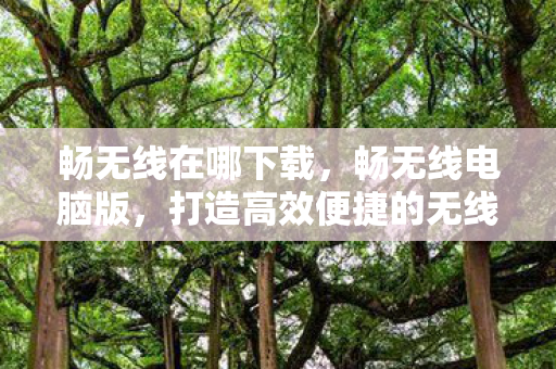 畅无线在哪下载，畅无线电脑版，打造高效便捷的无线体验