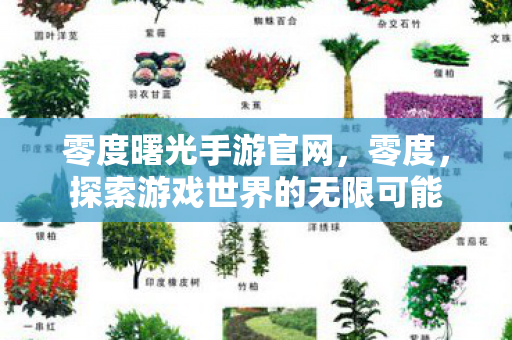 零度曙光手游官网,零度,探索游戏世界的无限可能 零度曙光手游官网,零度,探索游戏世界的无限可能