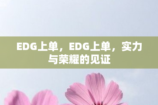 EDG上单,EDG上单,实力与荣耀的见证 EDG上单,EDG上单,实力与荣耀的见证