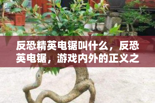 反恐精英电锯叫什么,反恐英电锯,游戏内外的正义之战 反恐精英电锯叫什么,反恐英电锯,游戏内外的正义之战