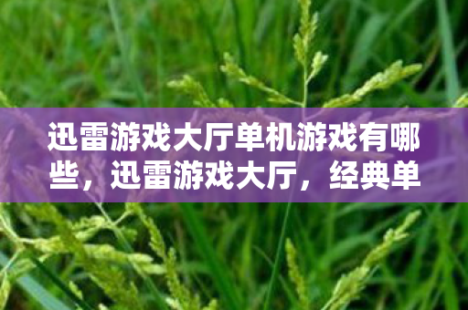 迅雷游戏大厅单机游戏有哪些,迅雷游戏大厅,经典单机游戏的怀旧之旅 迅雷游戏大厅单机游戏有哪些,迅雷游戏大厅,经典单机游戏的怀旧之旅