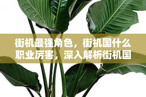 街机最强角色,街机国什么职业厉害,深入解析街机国度中的职业选择与优势 街机最强角色,街机国什么职业厉害,深入解析街机国度中的职业选择与优势