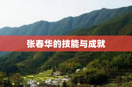 张春华的技能与成就 张春华的技能与成就