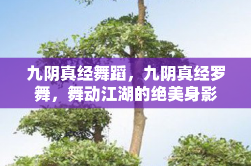 九阴真经舞蹈，九阴真经罗舞，舞动江湖的绝美身影