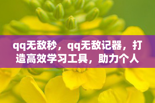 qq无敌秒,qq无敌记器,打造高效学习工具,助力个人成长 qq无敌秒,qq无敌记器,打造高效学习工具,助力个人成长