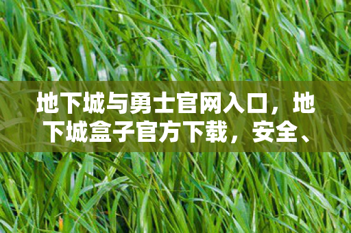 地下城与勇士官网入口,地下城盒子官方下载,安全、便捷的游戏体验 地下城与勇士官网入口,地下城盒子官方下载,安全、便捷的游戏体验