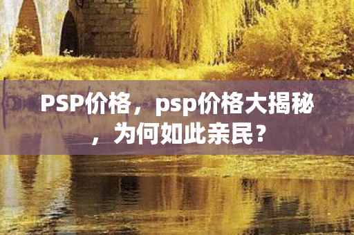PSP价格，psp价格大揭秘，为何如此亲民？