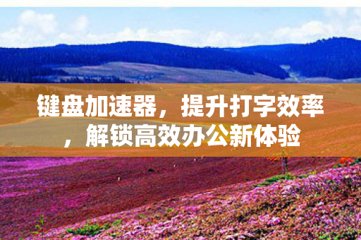 键盘加速器,提升打字效率,解锁高效办公新体验 键盘加速器,提升打字效率,解锁高效办公新体验