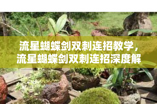 流星蝴蝶剑双刺连招教学，流星蝴蝶剑双刺连招深度解析
