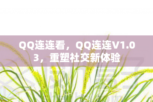 QQ连连看,QQ连连V1.03,重塑社交新体验 QQ连连看,QQ连连V1.03,重塑社交新体验