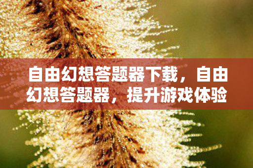 自由幻想答题器下载,自由幻想答题器,提升游戏体验的利器 自由幻想答题器下载,自由幻想答题器,提升游戏体验的利器