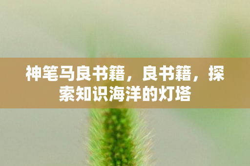 神笔马良书籍，良书籍，探索知识海洋的灯塔