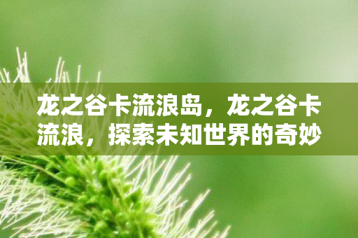 龙之谷卡流浪岛,龙之谷卡流浪,探索未知世界的奇妙之旅 龙之谷卡流浪岛,龙之谷卡流浪,探索未知世界的奇妙之旅