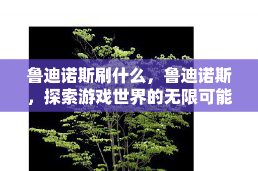 鲁迪诺斯刷什么，鲁迪诺斯，探索游戏世界的无限可能