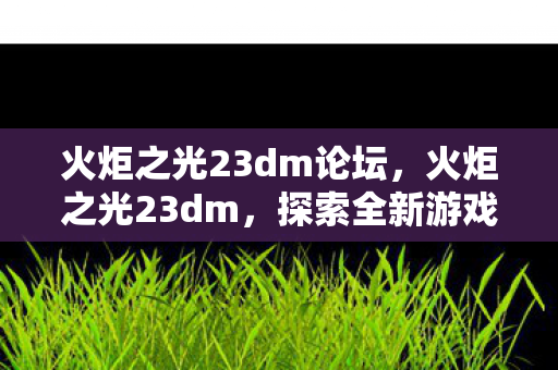 火炬之光23dm论坛，火炬之光23dm，探索全新游戏世界的奇妙之旅