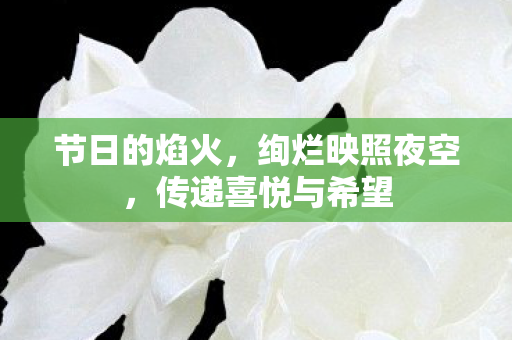 节日的焰火,绚烂映照夜空,传递喜悦与希望 节日的焰火,绚烂映照夜空,传递喜悦与希望