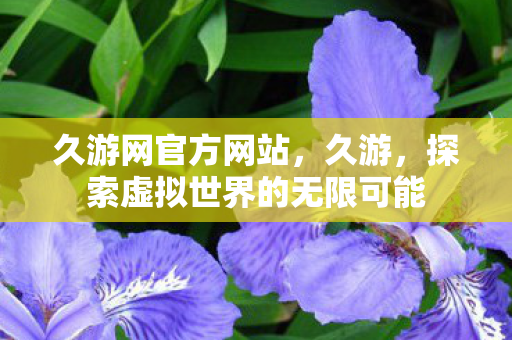 久游网官方网站,久游,探索虚拟世界的无限可能 久游网官方网站,久游,探索虚拟世界的无限可能