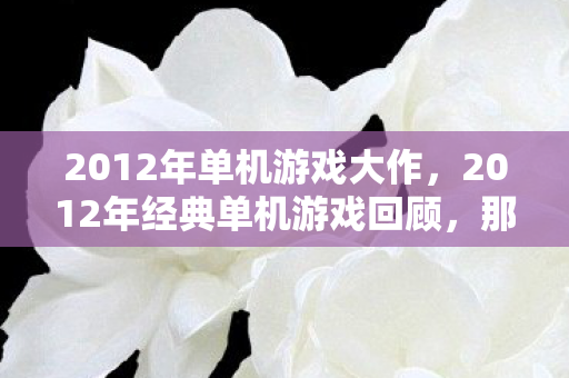 2012年单机游戏大作，2012年经典单机游戏回顾，那些不可错过的游戏佳作