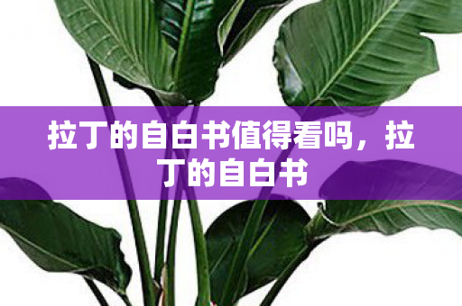 拉丁的自白书值得看吗,拉丁的自白书 拉丁的自白书值得看吗,拉丁的自白书