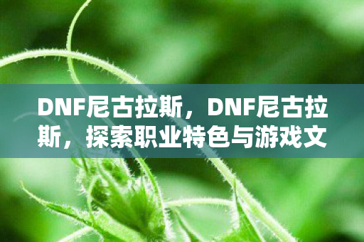 DNF尼古拉斯,DNF尼古拉斯,探索职业特色与游戏文化的深度解析 DNF尼古拉斯,DNF尼古拉斯,探索职业特色与游戏文化的深度解析