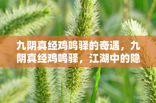 九阴真经鸡鸣驿的奇遇,九阴真经鸡鸣驿,江湖中的隐秘之地 九阴真经鸡鸣驿的奇遇,九阴真经鸡鸣驿,江湖中的隐秘之地