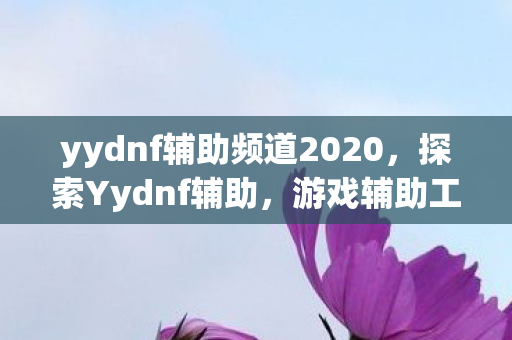 yydnf辅助频道2020,探索Yydnf辅助,游戏辅助工具的奇妙世界 yydnf辅助频道2020,探索Yydnf辅助,游戏辅助工具的奇妙世界