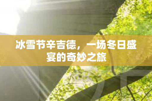 冰雪节辛吉德,一场冬日盛宴的奇妙之旅 冰雪节辛吉德,一场冬日盛宴的奇妙之旅