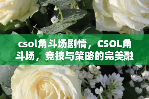 csol角斗场剧情,CSOL角斗场,竞技与策略的完美融合 csol角斗场剧情,CSOL角斗场,竞技与策略的完美融合
