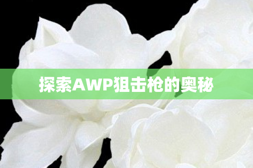探索AWP狙击枪的奥秘