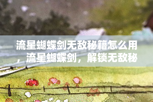 流星蝴蝶剑无敌秘籍怎么用,流星蝴蝶剑,解锁无敌秘籍的终极指南 流星蝴蝶剑无敌秘籍怎么用,流星蝴蝶剑,解锁无敌秘籍的终极指南