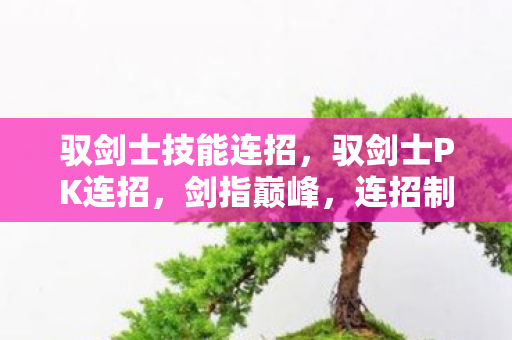 驭剑士技能连招,驭剑士PK连招,剑指巅峰,连招制胜 驭剑士技能连招,驭剑士PK连招,剑指巅峰,连招制胜