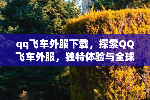 qq飞车外服下载，探索QQ飞车外服，独特体验与全球竞速的交汇