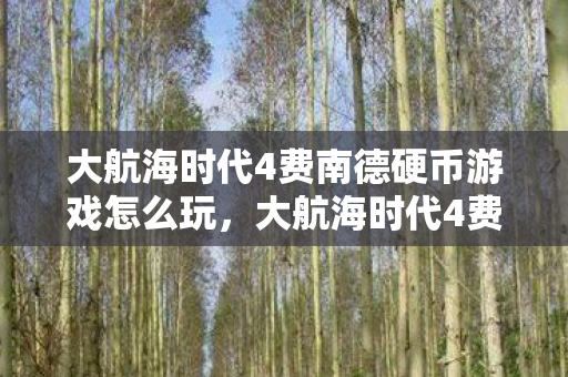 大航海时代4费南德硬币游戏怎么玩，大航海时代4费南德，探索未知世界的航海家