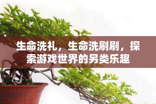 生命洗礼,生命洗刷刷,探索游戏世界的另类乐趣 生命洗礼,生命洗刷刷,探索游戏世界的另类乐趣