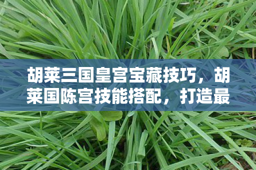 胡莱三国皇宫宝藏技巧,胡莱国陈宫技能搭配,打造最强策略师的战斗组合 胡莱三国皇宫宝藏技巧,胡莱国陈宫技能搭配,打造最强策略师的战斗组合
